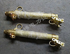 RW10-10/100a~200A戶外高壓跌落式熔斷器管令克開關（guān）保險熔斷器管